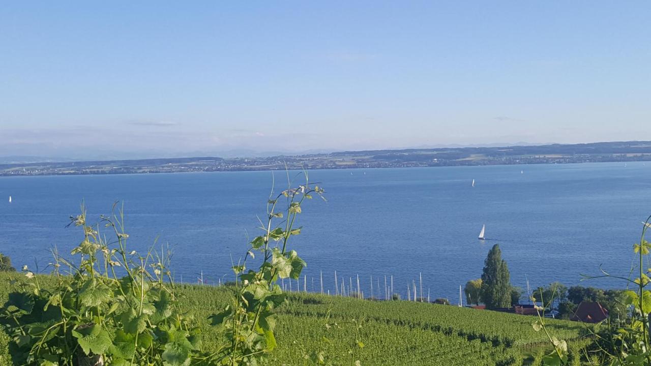 Apartment Neuweiher Daisendorf Zewnętrze zdjęcie